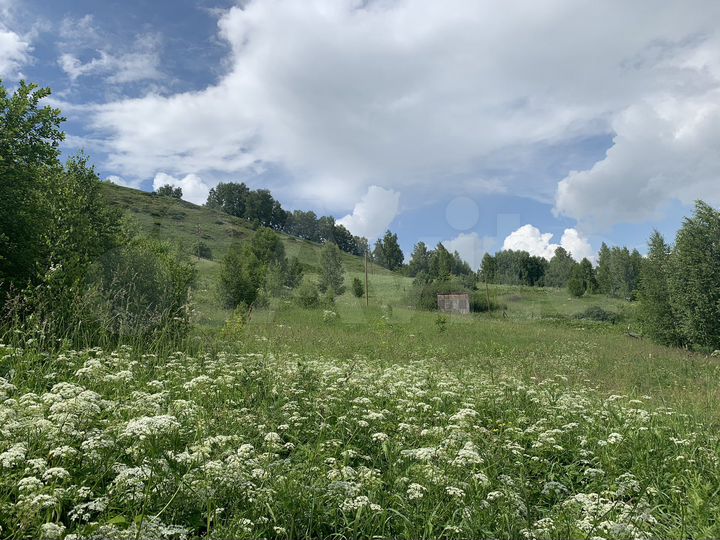 Участок 6 сот. (СНТ, ДНП)