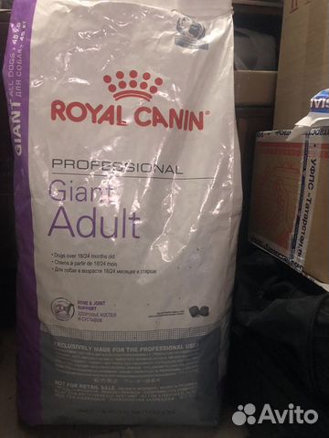 Royal canin professional giant adult
