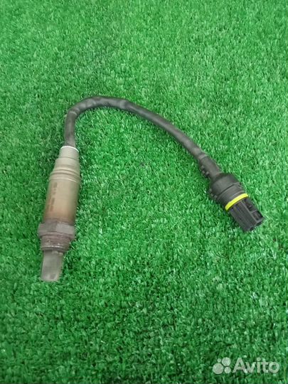 Датчик кислородный передний Bmw X5 E53 M54 306S3