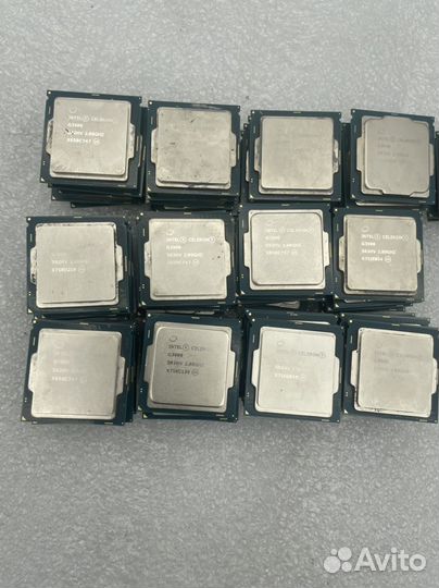 Процессоры intel celeron S1151 оптом G3900 G3930