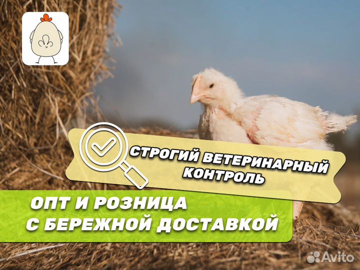 Подрощенный корнишон/цыплёнок табака