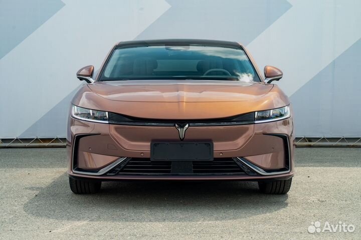 Voyah Passion (Chasing Light) 510 л.с. AT, 2023, 1 680 км