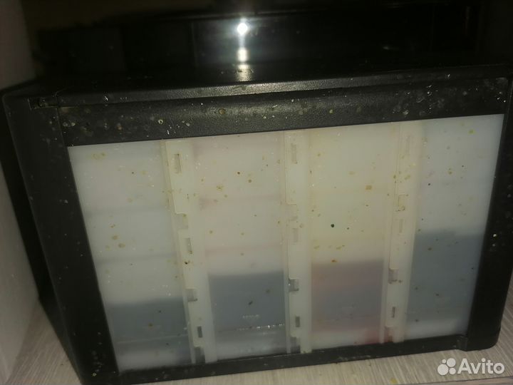 Принтер epson l100