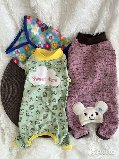 Одежда для собак