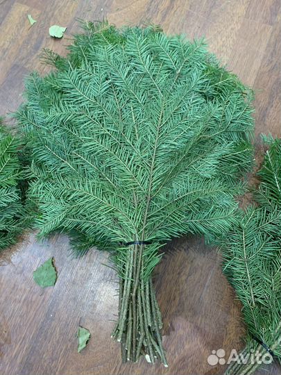 Пихта веники для здоровья 25/шт