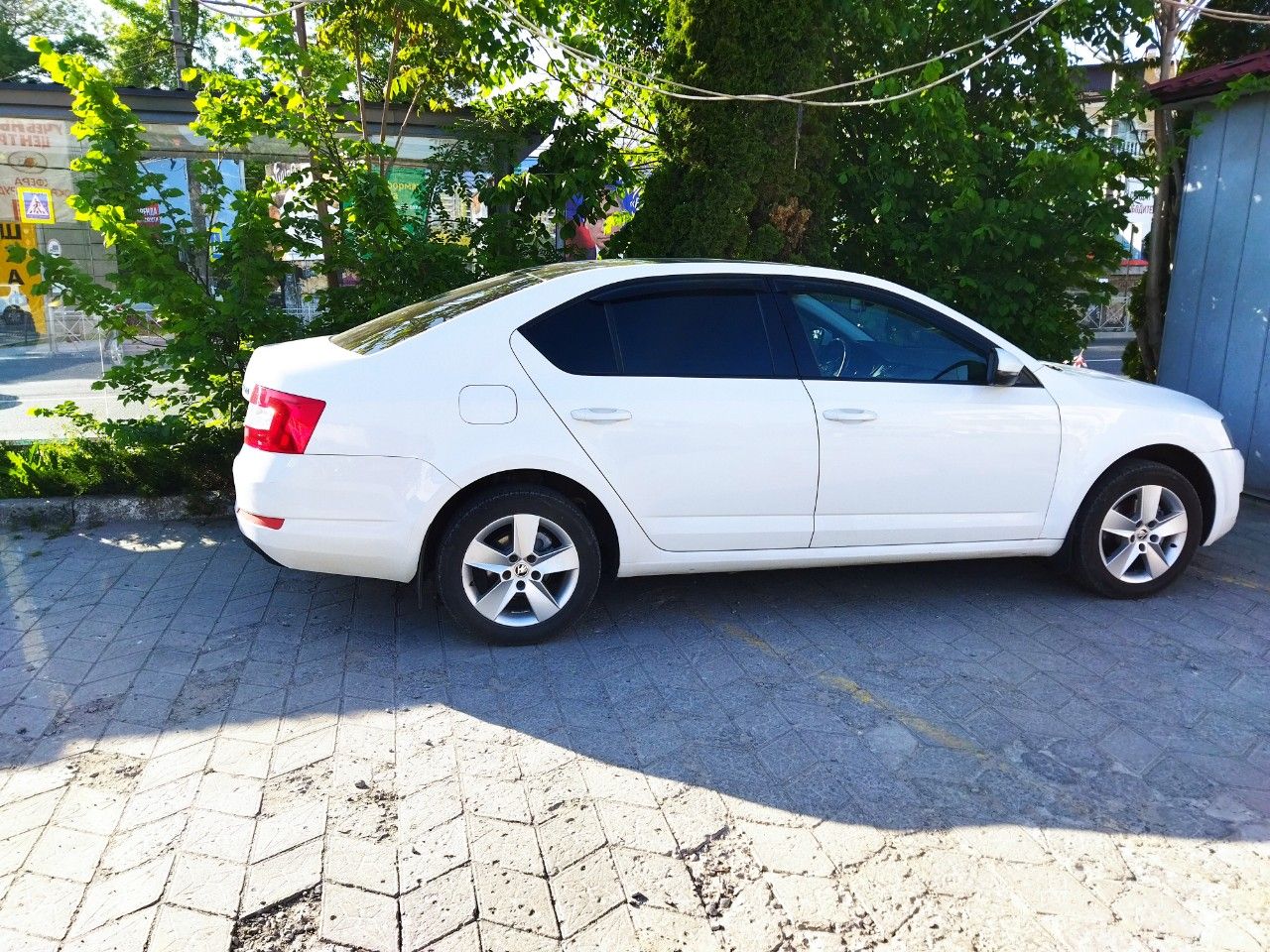 Skoda Octavia: фото владельца