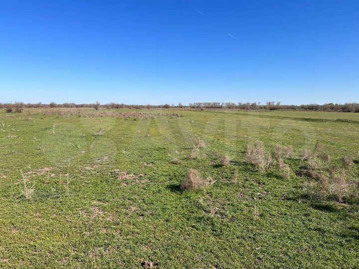 Участок 13,5 га (СНТ, ДНП)