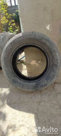 Pirelli Ice Zero FR 215/65 R16