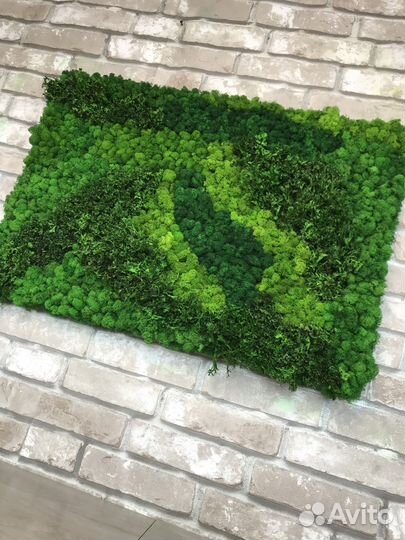 Панели из стабилизированного мха по вашим размерам