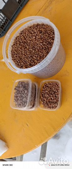 Перга пчелиная башкирия