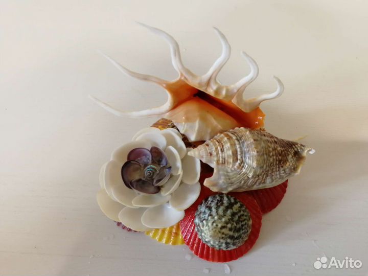 Поделка из ракушек