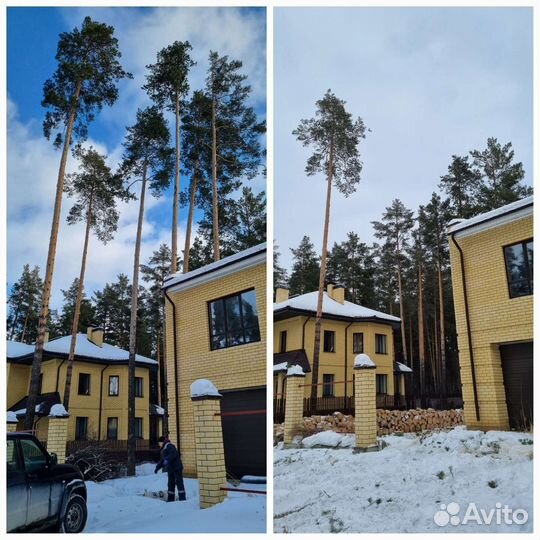 Спил деревьев расчистка участка