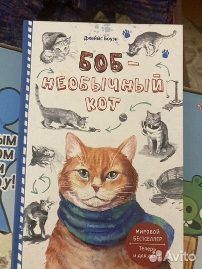 Книга новая Боб необычный кот