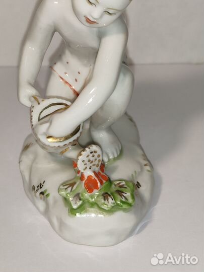 Юный садовод