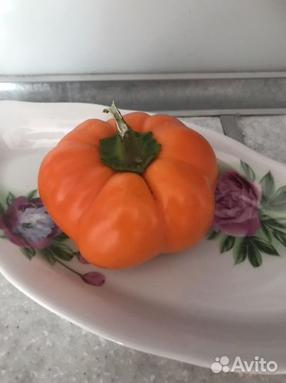 Семена сладкого перца