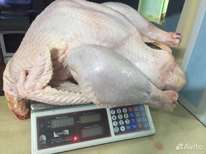 Тушка утки индейки деревенские