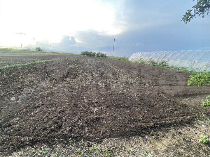 Участок 20 сот. (СНТ, ДНП)