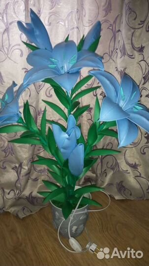 Лилии в горшке