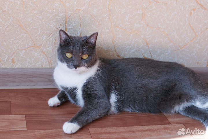 И снова 1 сентября