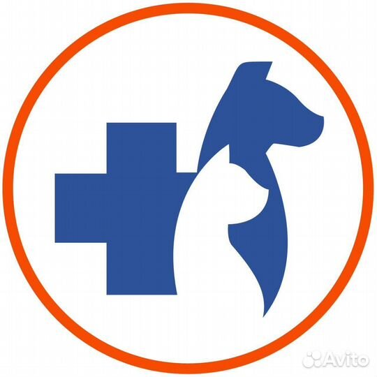 Гуманное усыпление животных на дому