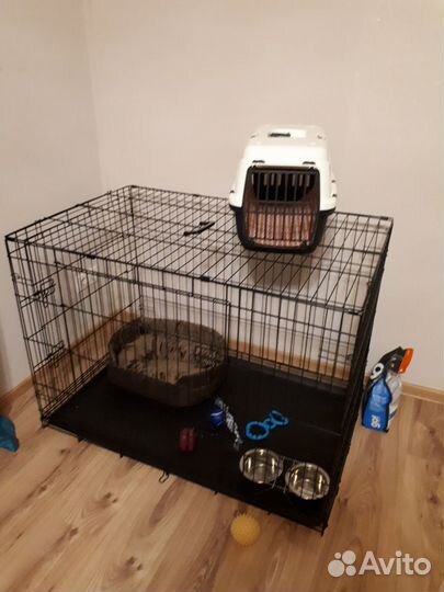 Клетка