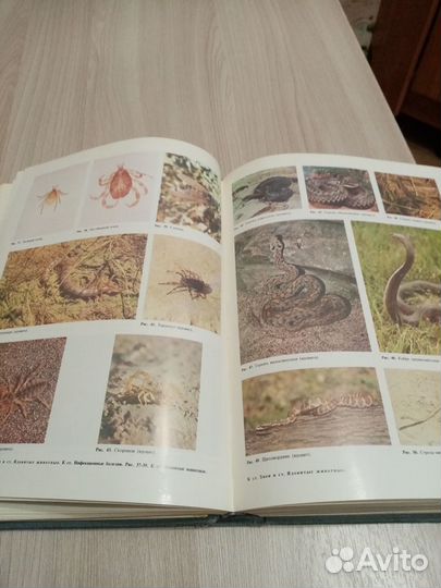 Продам книгу