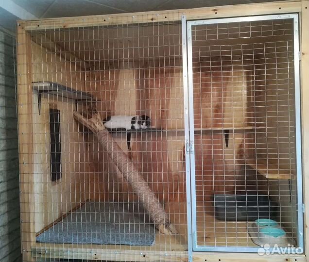 Оттель для кошек