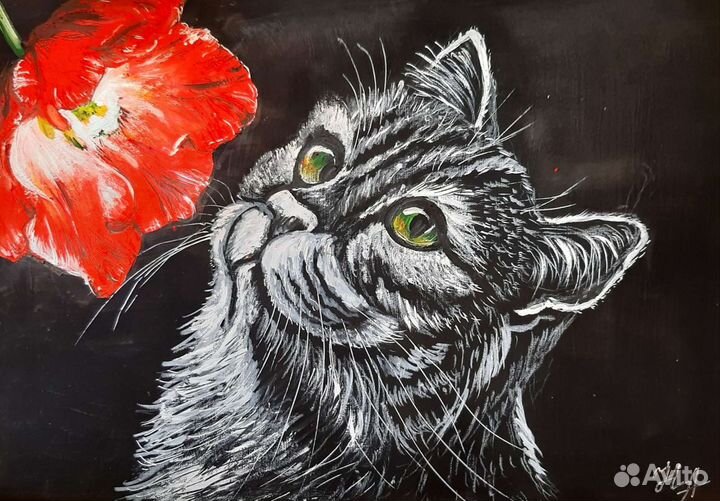 Котик