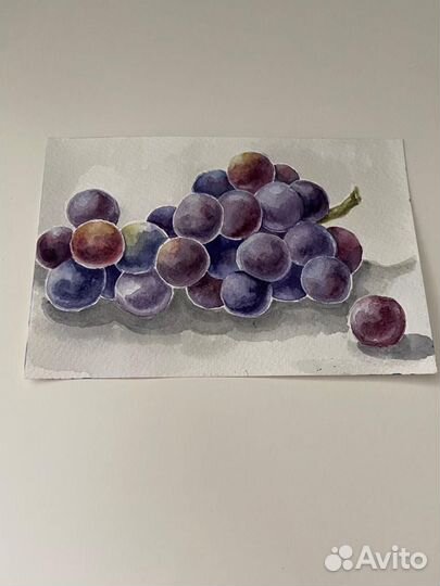 Акварельные картины, ботанические иллюстрации