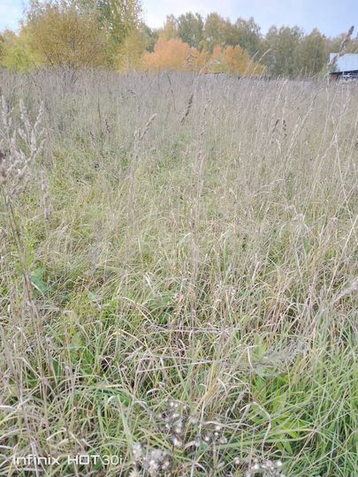 Участок 10 сот. (СНТ, ДНП)