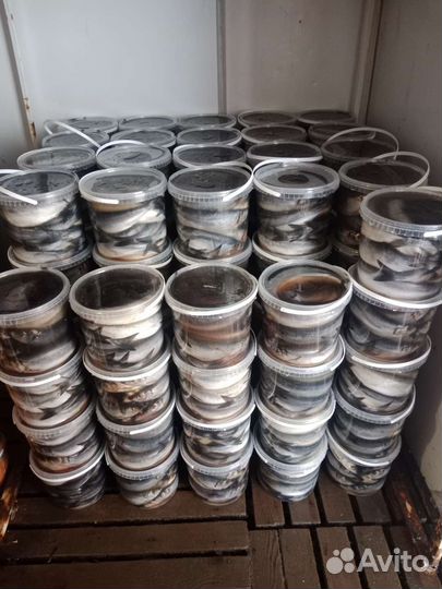 Соленья Рыба оптом