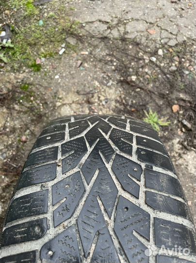 Gislaved NordFrost 100 195/60 R15