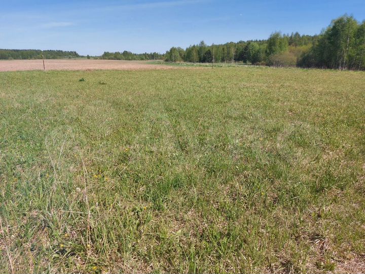 Участок 10 сот. (ИЖС)