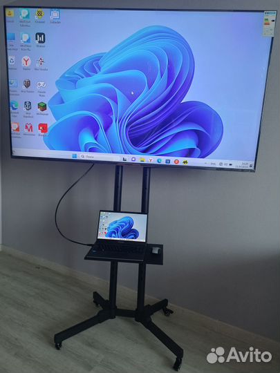 Аренда телевизора прокат плазм 65, видеокамеры 4К