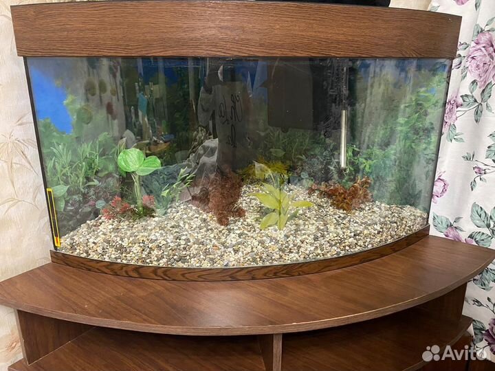 Аквариум угловой с тумбой