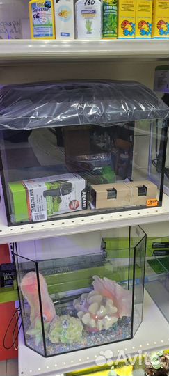 Аквариум
