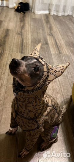 Термо комбинезон для собак/кошек