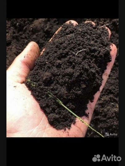 Навоз в мешках черназём растения