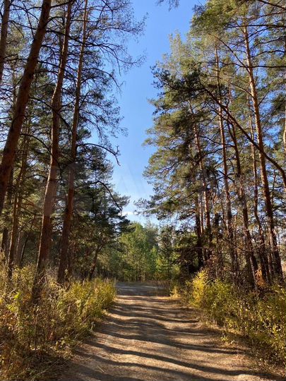 Участок 10 сот. (ИЖС)