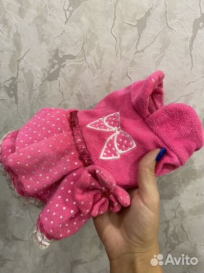 Одежда для собак мелких пород