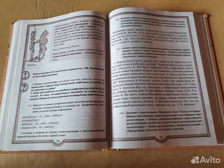 Русский язык 6 класс Р.Н.Бунеев, Е.В.Бунеева