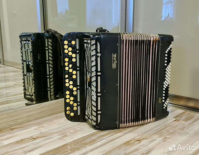 Баян Тула 210