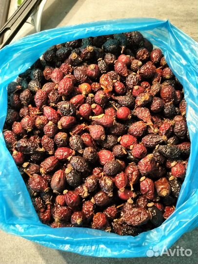 Сушеные грибы