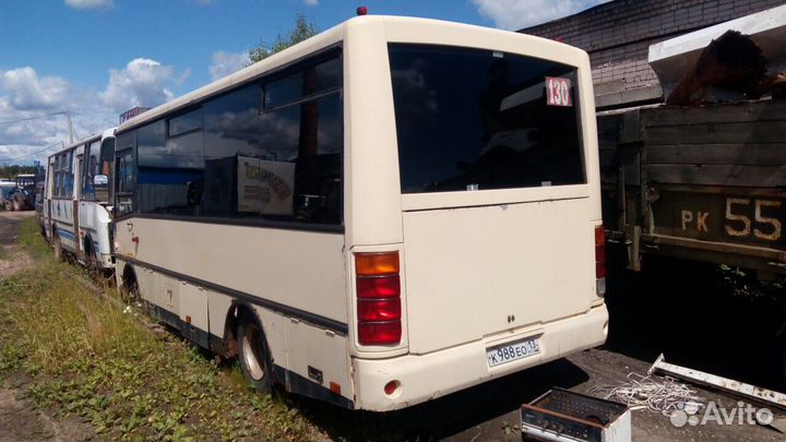Городской автобус ПАЗ 3203, 2005