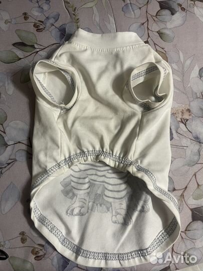 Одежда для животных