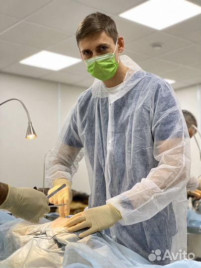 Вызов врача на дом. Ветеринарные услуги в Саратове