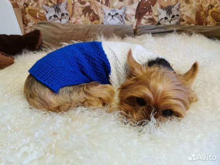 Жилетка одежка для маленьких собачек и кошек