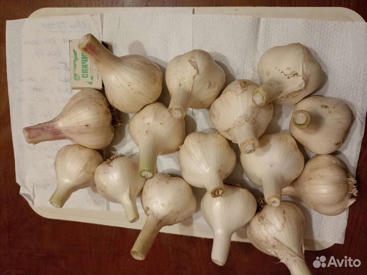 Лук, чеснок, огурцы