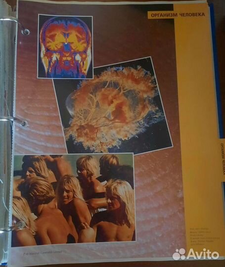 Детская Энциклопедия 