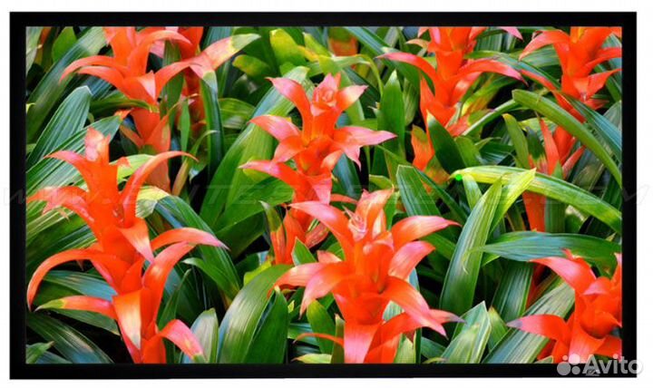 Экран на раме Elite Screens ezFrame PVR180WH1 224*